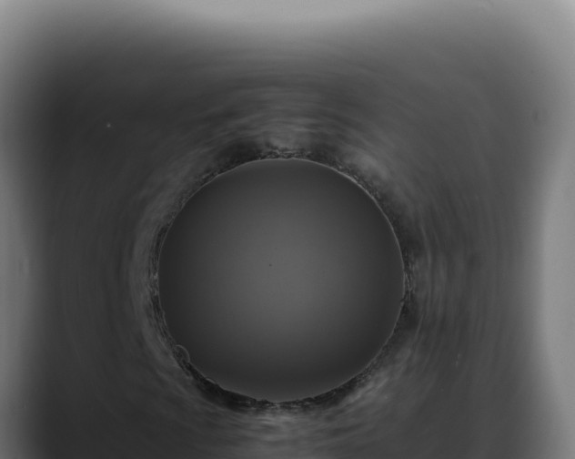 X0000088401009200705291424