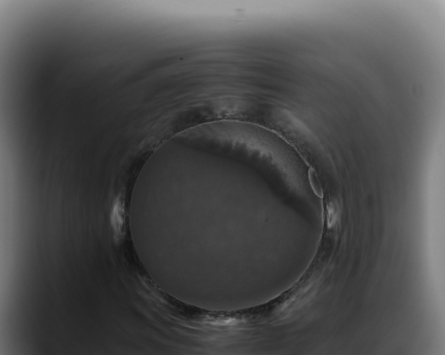 X0000088401011200705291424