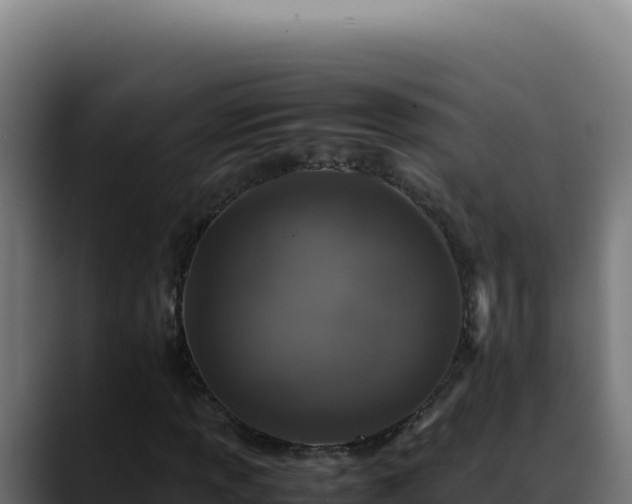 X0000088401013200705291424