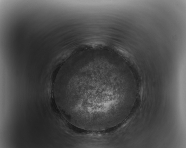 X0000088401014200705291424