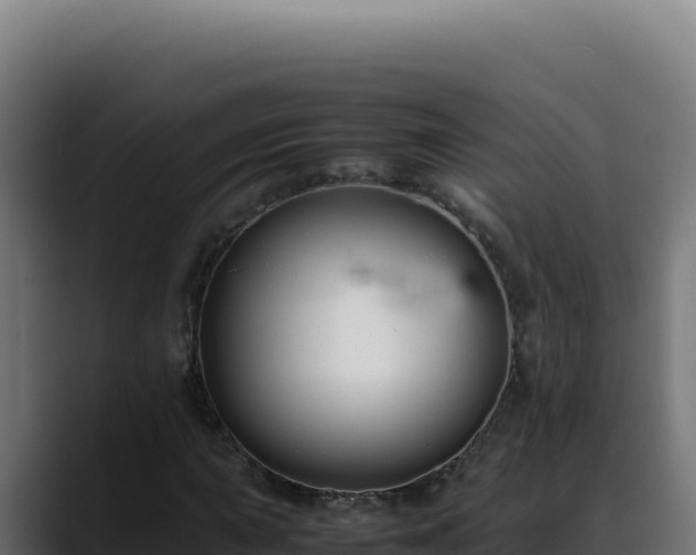 X0000088401015200705291424