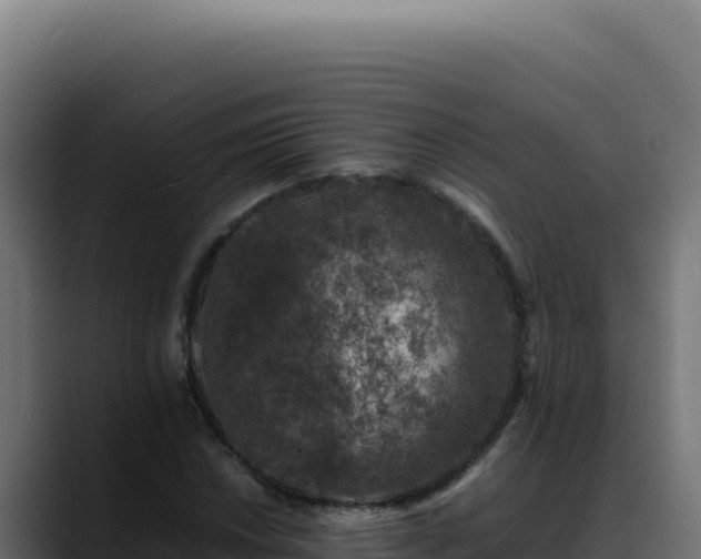 X0000088401018200705291424