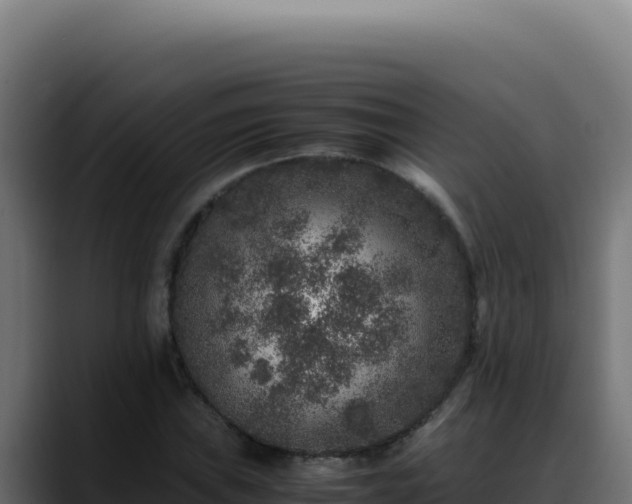 X0000088401019200705291424