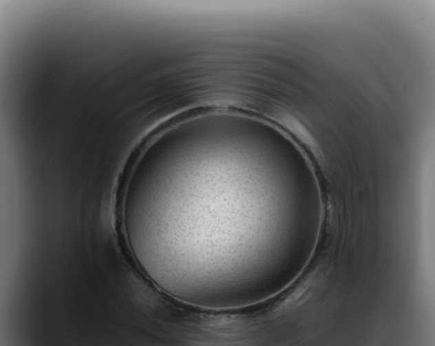 X0000088401020200705291424