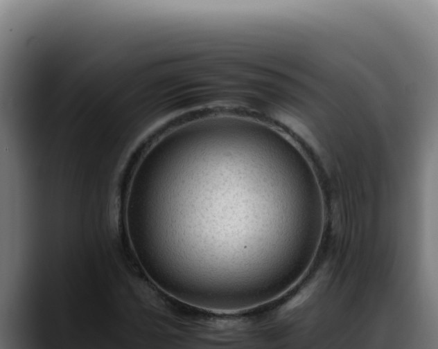 X0000088401021200705291424