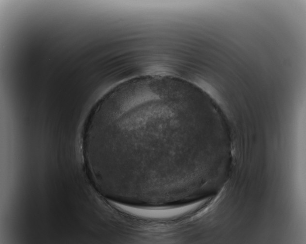 X0000088401022200705291424