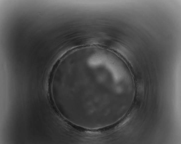 X0000088401023200705291424