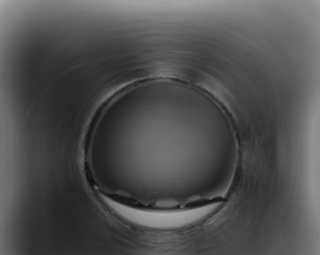 X0000088401024200705291424