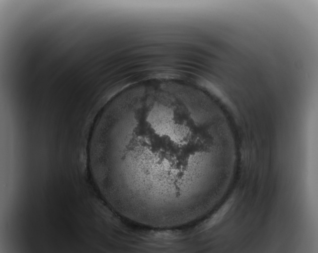 X0000088401025200705291424