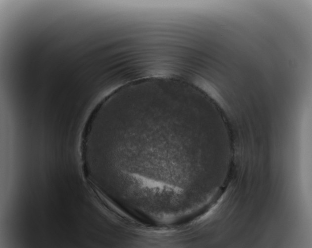 X0000088401026200705291424