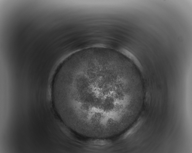 X0000088401027200705291424