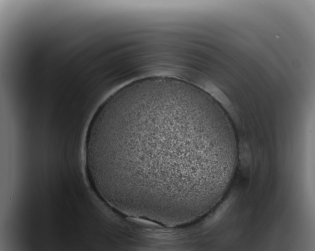 X0000088401028200705291424