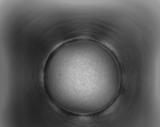 X0000088401029200705291425