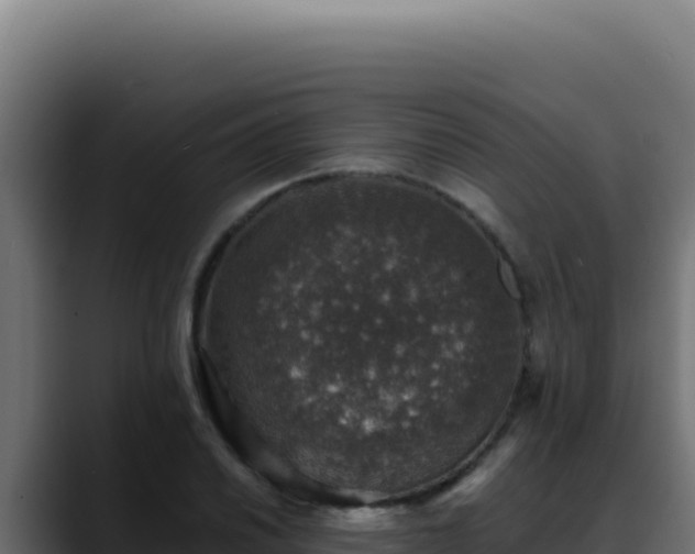 X0000088401030200705291425