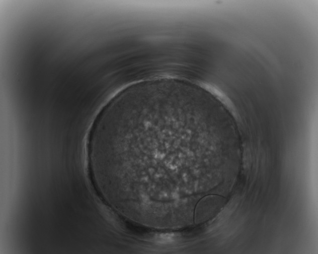 X0000088401031200705291425