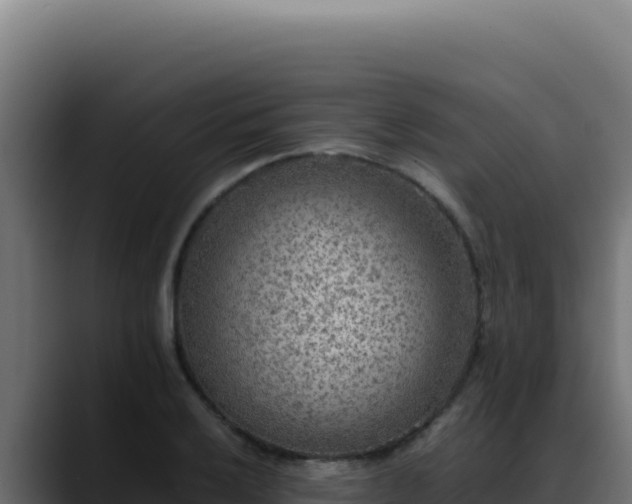 X0000088401032200705291425