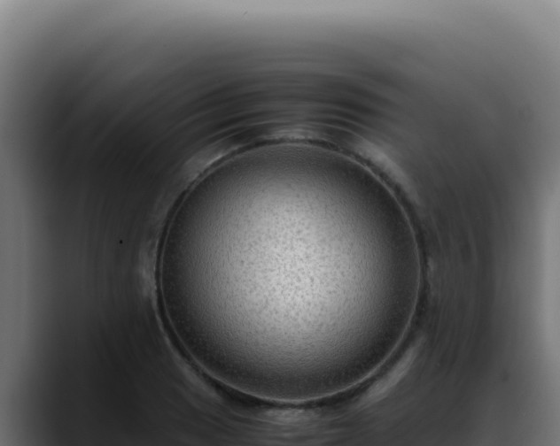 X0000088401033200705291425