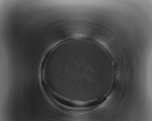 X0000088401034200705291425