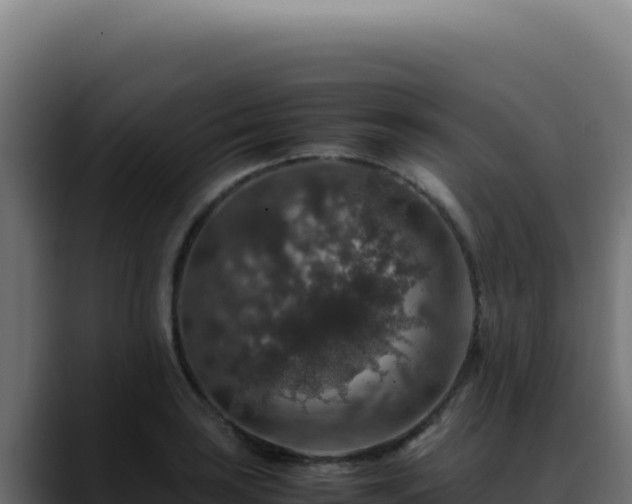 X0000088401035200705291425