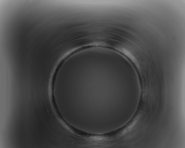 X0000088401037200705291425