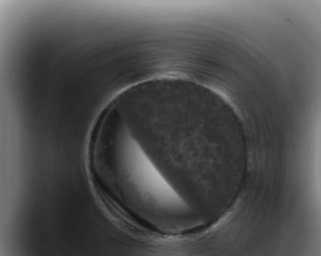 X0000088401038200705291425