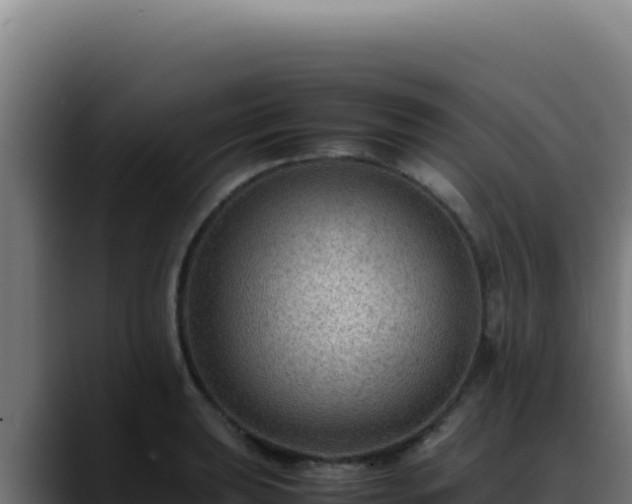 X0000088401039200705291425