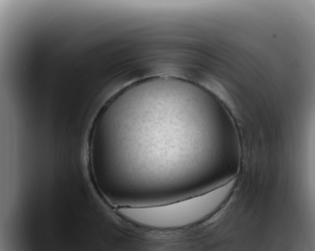 X0000088401040200705291425