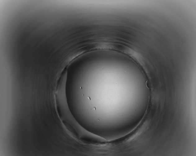 X0000088401041200705291425