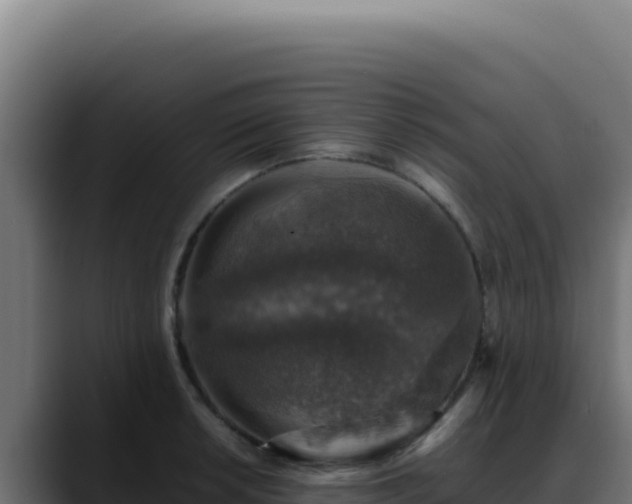 X0000088401042200705291425