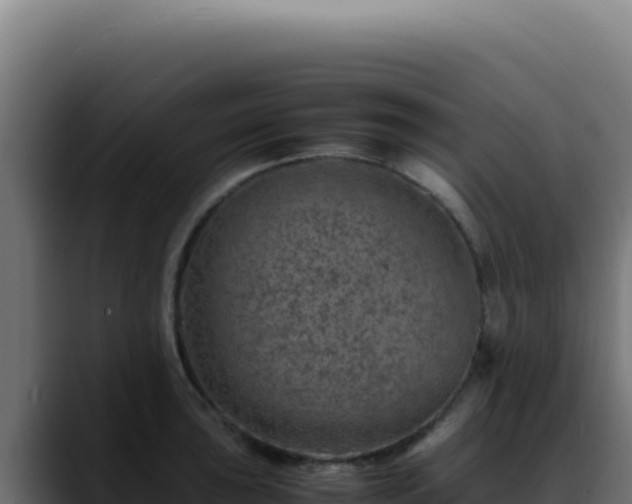 X0000088401043200705291425