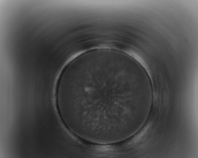 X0000088401045200705291425