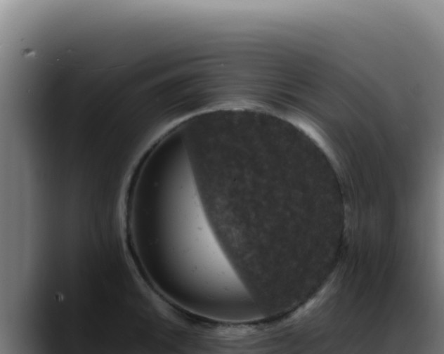 X0000088401046200705291425