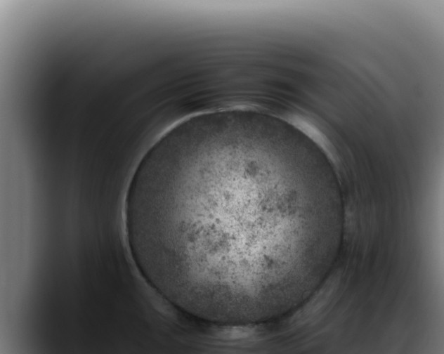 X0000088401047200705291425