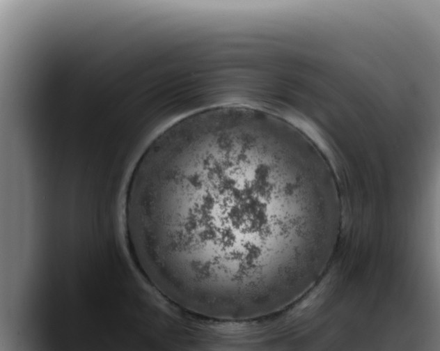 X0000088401048200705291425