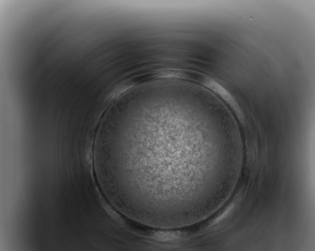 X0000088401049200705291425