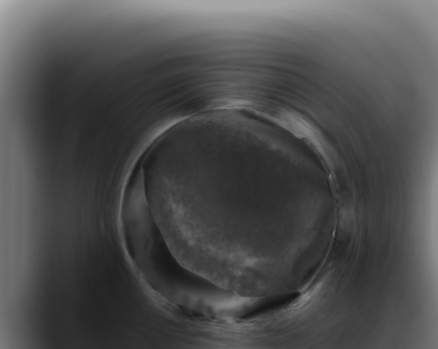 X0000088401050200705291425