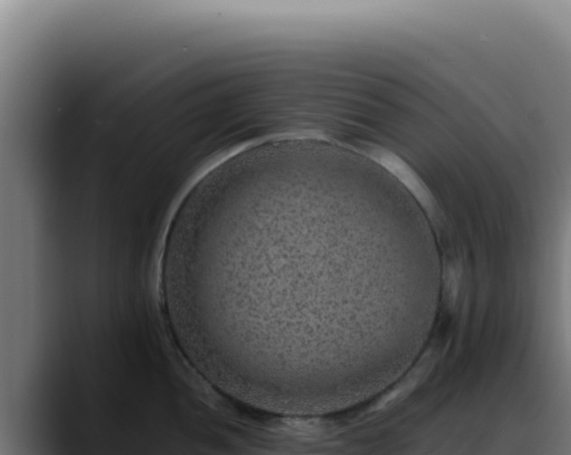 X0000088401052200705291425