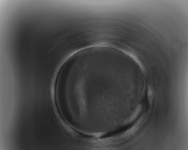 X0000088401054200705291425