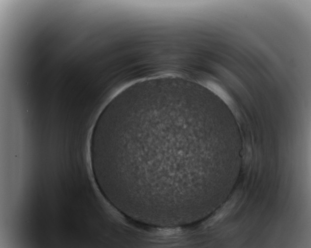 X0000088401055200705291425