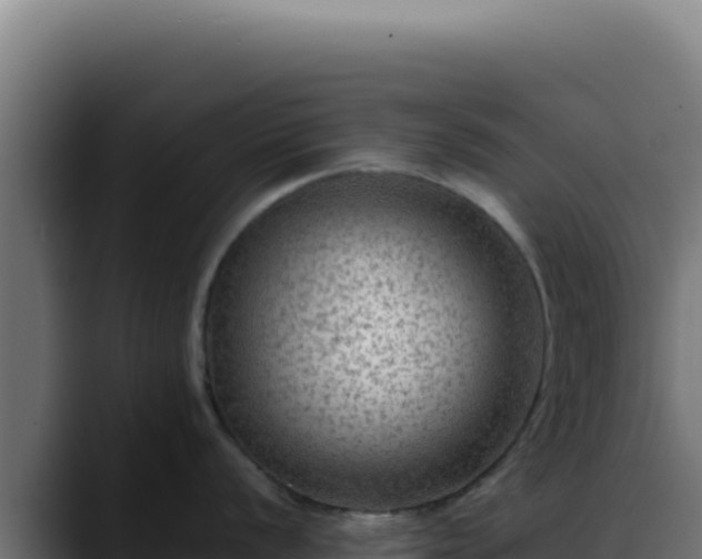 X0000088401056200705291425