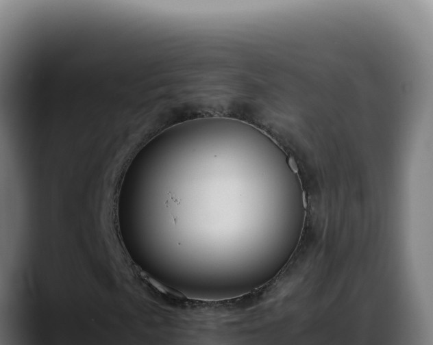 X0000088401057200705291424