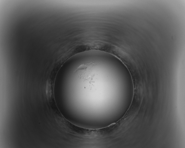 X0000088401058200705291424