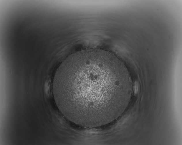 X0000088401059200705291424