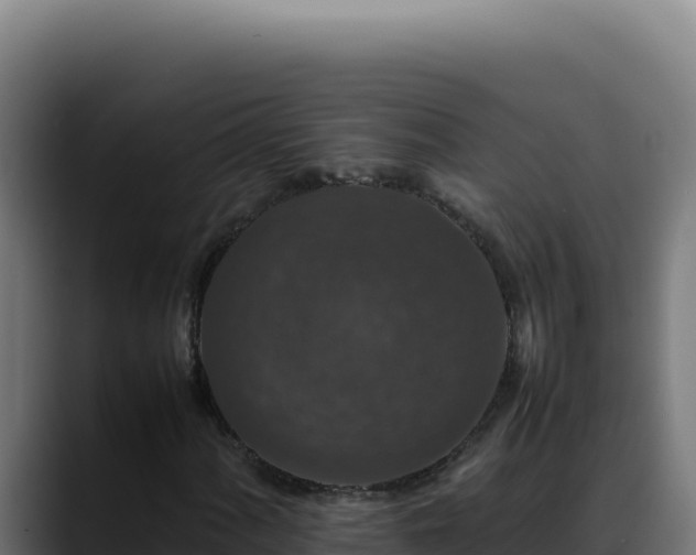 X0000088401060200705291424