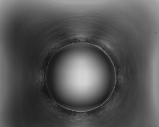 X0000088401062200705291424