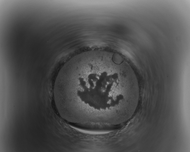 X0000088401063200705291424