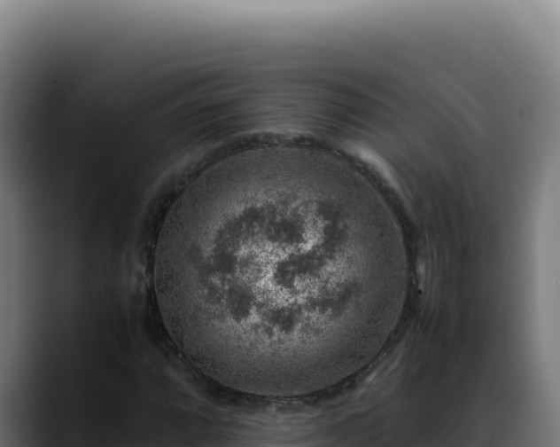 X0000088401064200705291424