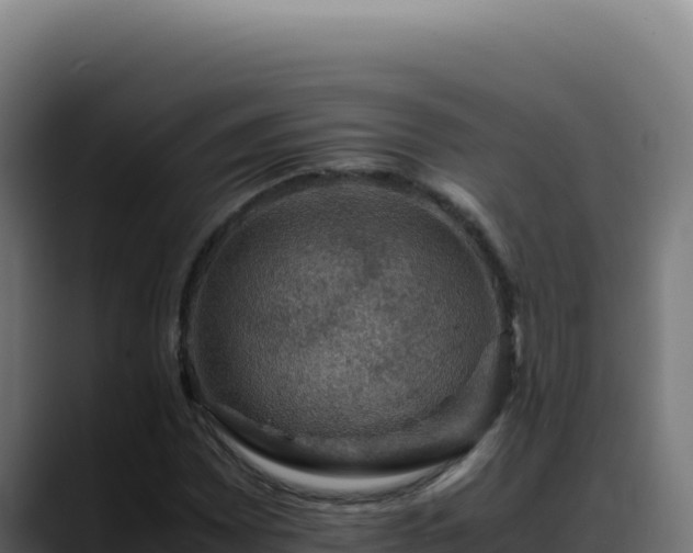 X0000088401065200705291424