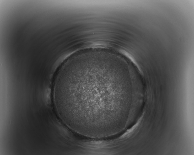 X0000088401066200705291424