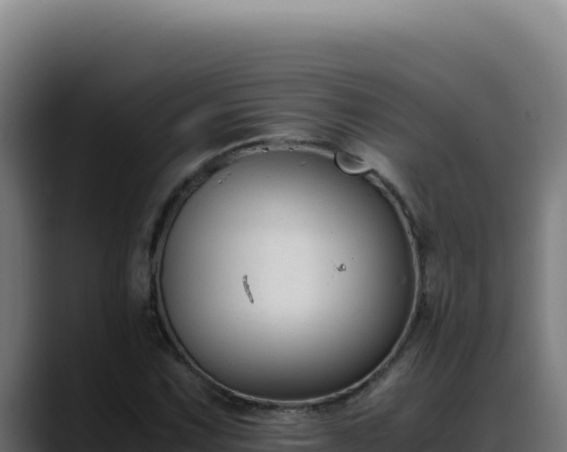 X0000088401067200705291424